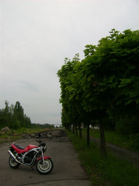 Obrázek